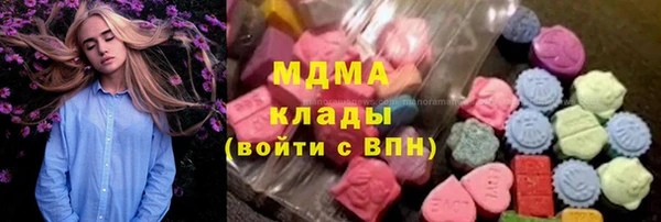 прущие грибы Волоколамск