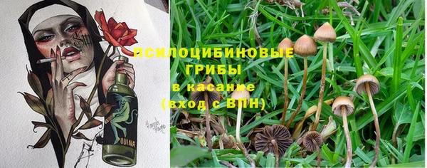 кокс Михайловка