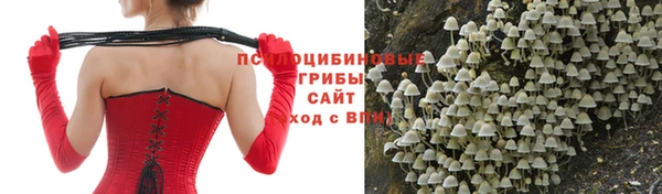 мдпв Михайловск