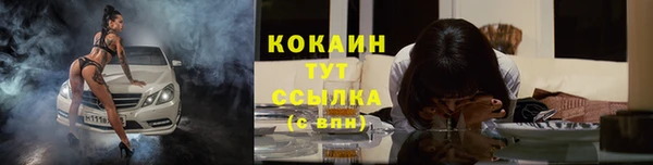 мдпв Михайловск