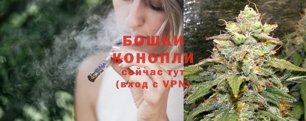 соль ск Михайлов