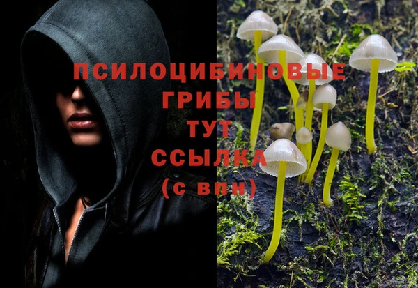 кокс Михайловка