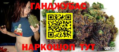 гидра Гусиноозёрск