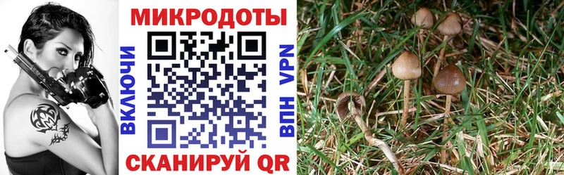Галлюциногенные грибы прущие грибы  Назарово 
