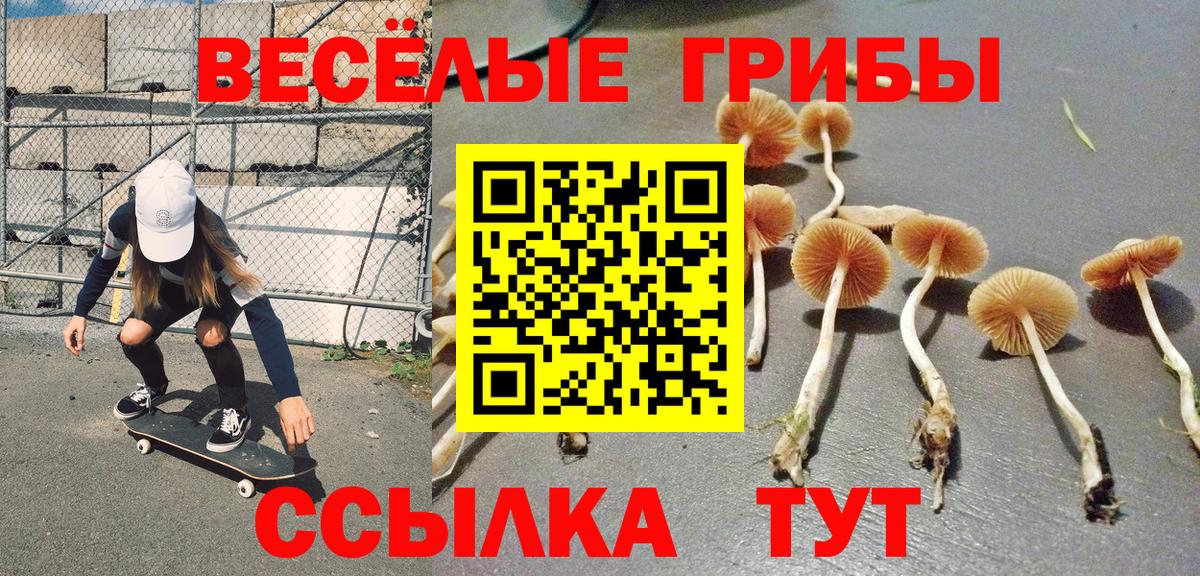 Назарово  Галлюциногенные грибы Cubensis  Вход с VPN  Псилоцибиновые грибы ЛСД 